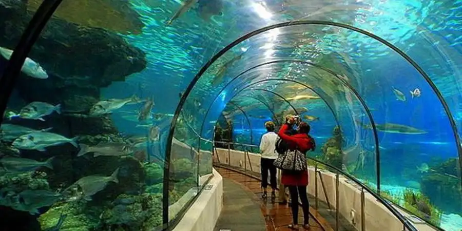 Aquarium-Tour von Side: Tauchen Sie ein in Antalyas Unterwasserwunder mit Side Tours