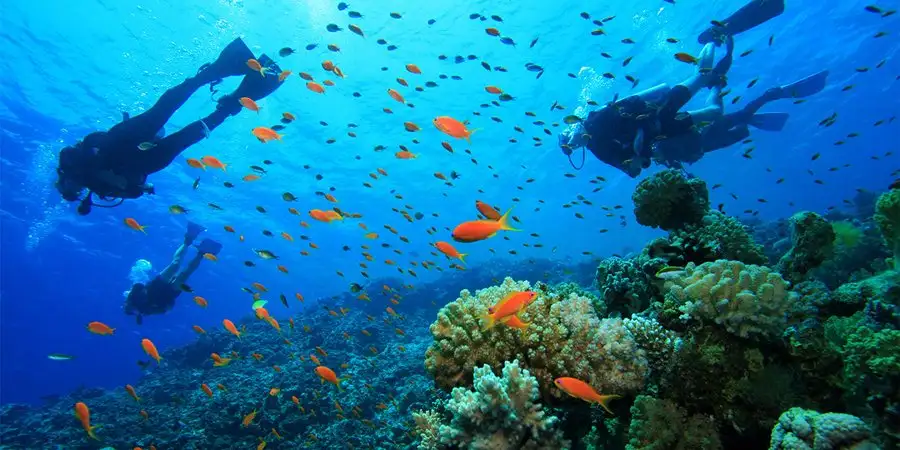 Tauchen in Side: Top Side Touren