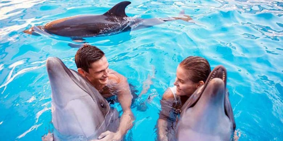 Schwimmen mit Delfinen im Antalya Aksu Dolphinarium Begegnungen & Shows